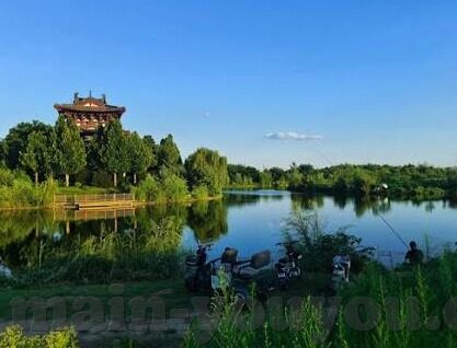 91麻豆专区-探讨网络平台多元化与91麻豆专区——一场关于内容多样性的思考