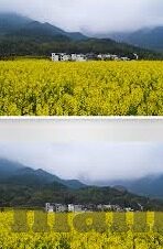 黑人巨大精品欧美一区二区-探索文化多样性的边界，全球影视内容的多元视角